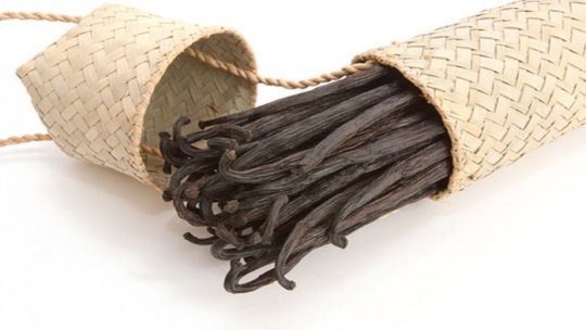 Ierburi și mirodenii – secrete pierdute (V)