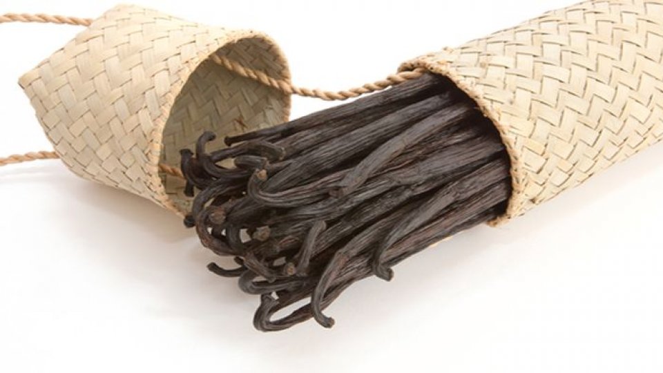 Ierburi și mirodenii – secrete pierdute (V)