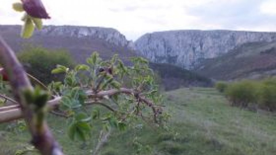 Rezervație naturală, salvată de un proiect european