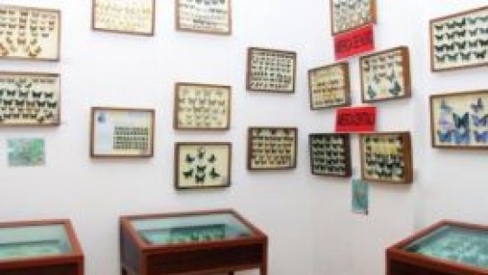 Muzeul Judeţean de Istorie şi Artă din Zalău