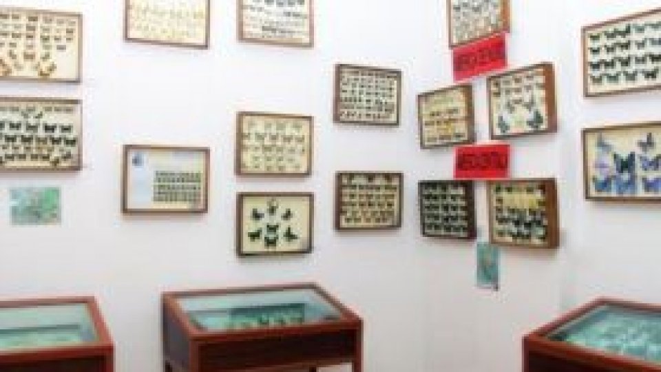 Muzeul Judeţean de Istorie şi Artă din Zalău