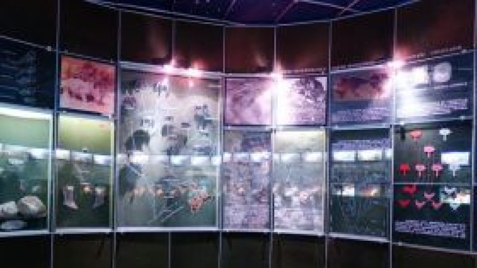 Muzeul Sportului Argeşan