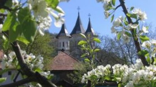 Casa Ethnos din Sebiş