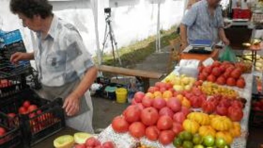 Rusia a ridicat parţial embargoul pentru merele din R. Moldova