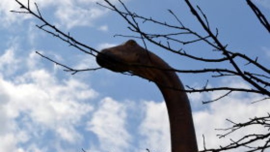 Geoparcul Dinozaurilor, tot mai atractiv