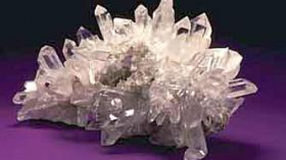 Muzeului Naţional Geologic din Bucureşti