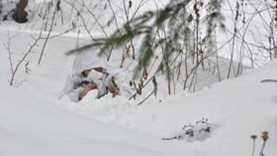 Jurnal Militar din 21.02.2015