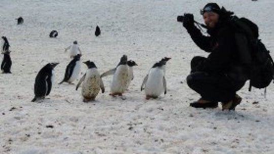 17,5 grade Celsius în Antarctica