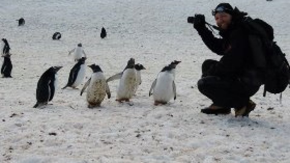 17,5 grade Celsius în Antarctica