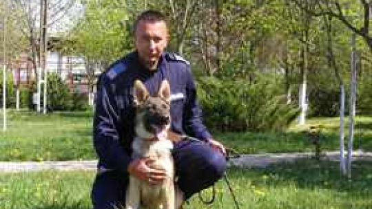 "Sun", noul coleg al  jandarmilor arădeni, are vârsta de cinci luni