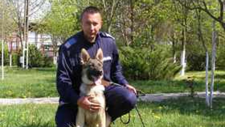 "Sun", noul coleg al  jandarmilor arădeni, are vârsta de cinci luni