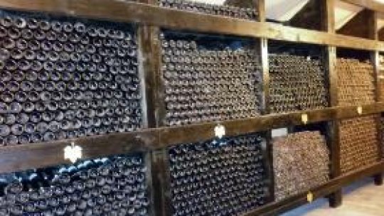 Două milioane de litri de vin contrafăcut, confiscat de Poliția Română