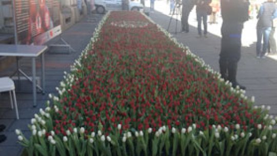 Lalele roşii, simbolul internaţional al luptei împotriva bolii Parkinson