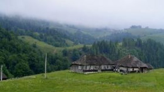 European decisions in agriculture