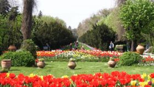 Maraton al distracției în Parcul Cișmigiu din București