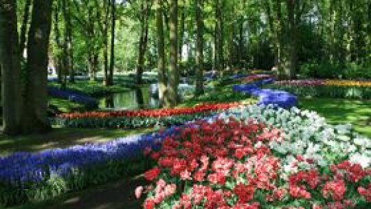 Atracţii europene: Parcul Keukenhof din Olanda