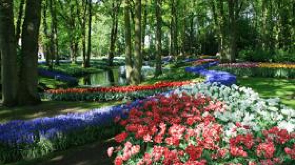 Atracţii europene: Parcul Keukenhof din Olanda