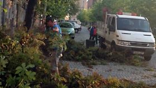 Arbori căzuți și mașini avariate după furtuna din București