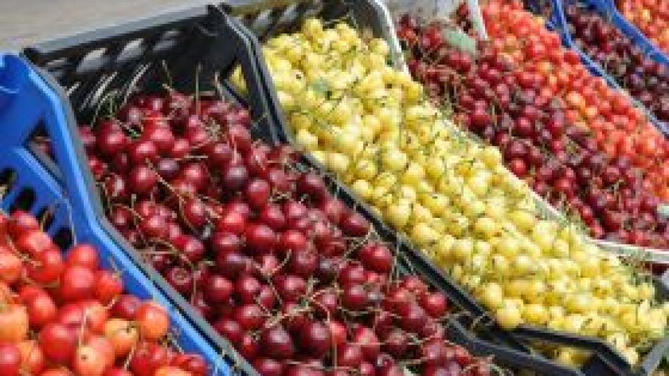 Cireşe de la Cireşoaia