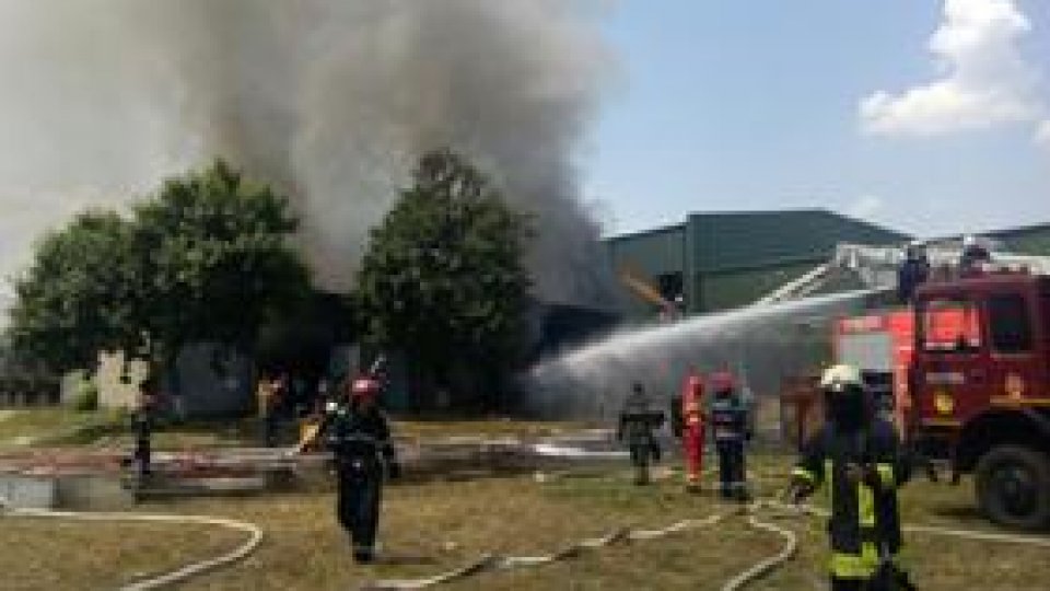 Incendiu la un depozit de vopseluri din Bucureşti
