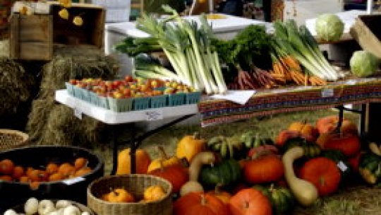 Rusia a ridicat parţial embargoul la fructe şi legume din Republica Moldova