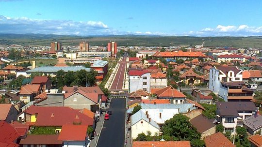 Spaţiile verzi, amenajate de deţinuţi