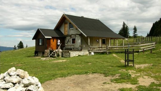 Unde mergem în vacanță: Canionul Șapte Scări