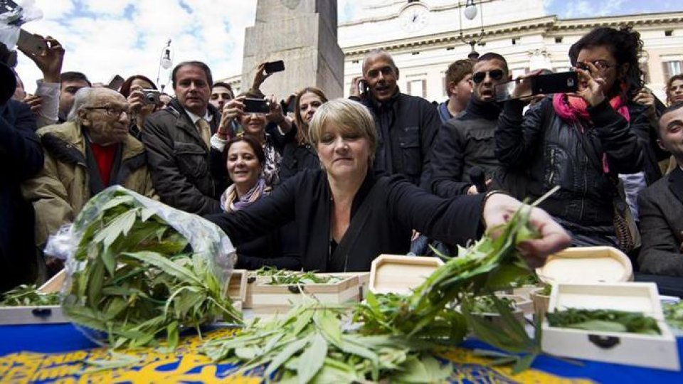 218 parlamentari italieni vor să legalizeze consumul de canabis