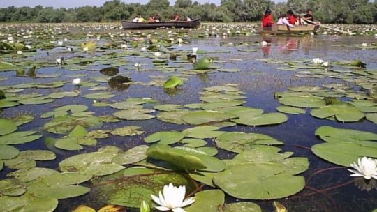 Unde mergem în vacanță: Insula Mică a Brăilei