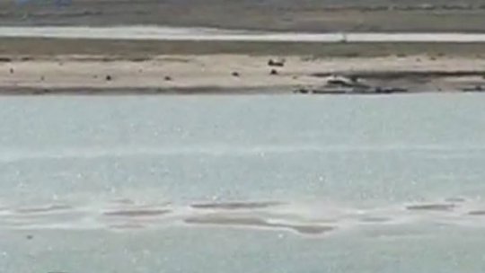 Seceta şi căldura afectează şi debitul Dunării