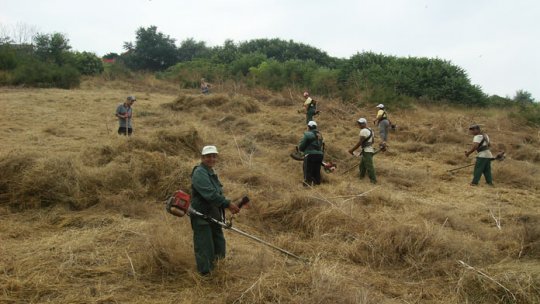 Măsuri de prevenire a incendiilor de vegetaţie la Constanţa