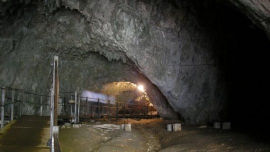 Unde mergem în vacanță: Cheile Dâmbovicioarei