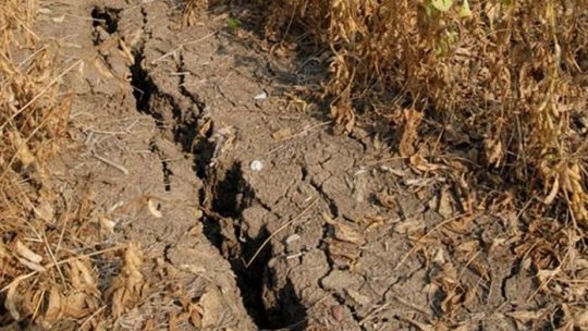 Extreme heat and drought have affected large areas across Romania