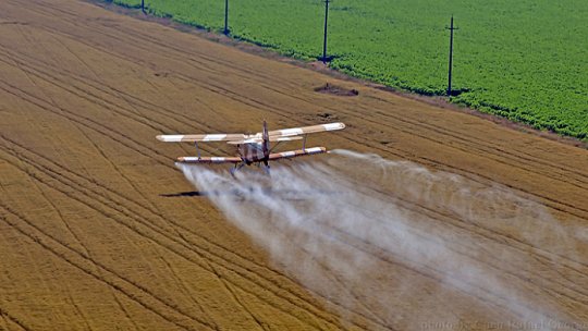 Un avion utilitar s-a prăbușit în județul Brăila