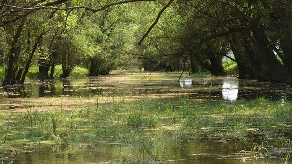 Doar şase canale ale Deltei Dunării vor fi decolmatate