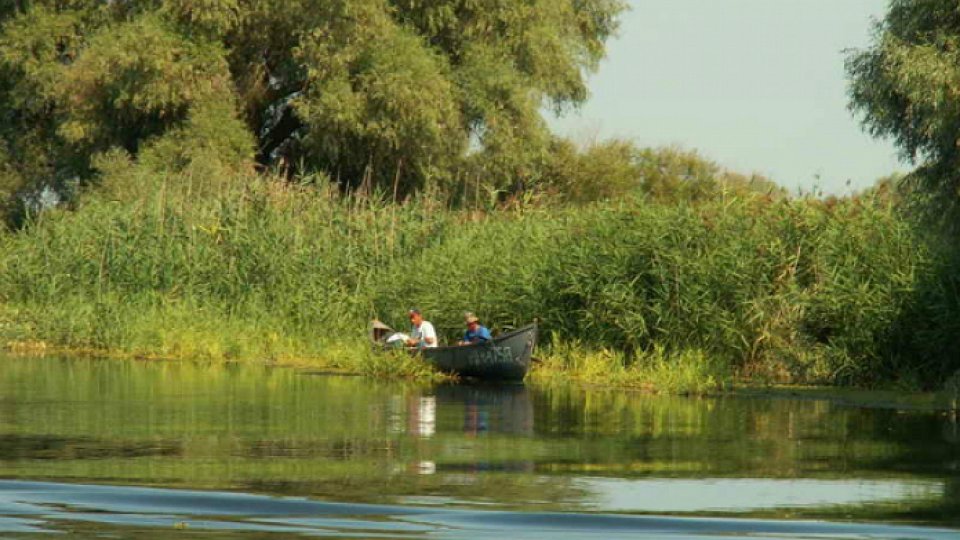 Sezonul de pescuit cu năvodul în Deltă va fi deschis din 1 octombrie