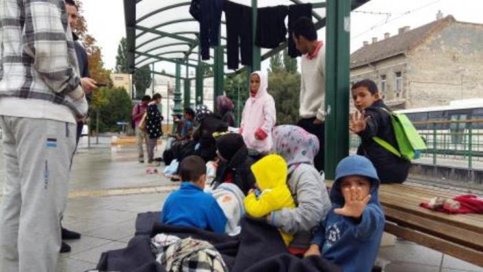 Încă patru români reținuți în Ungaria pentru trafic de emigranți