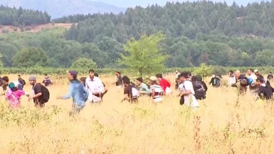 Cinci irakieni au încercat să treacă în România de două ori într-o zi