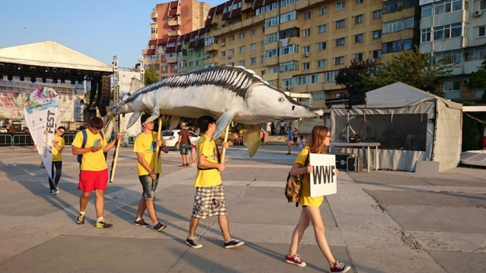 "Black to Black" - Cooperarea de la Pădurea Neagră la Marea Neagră