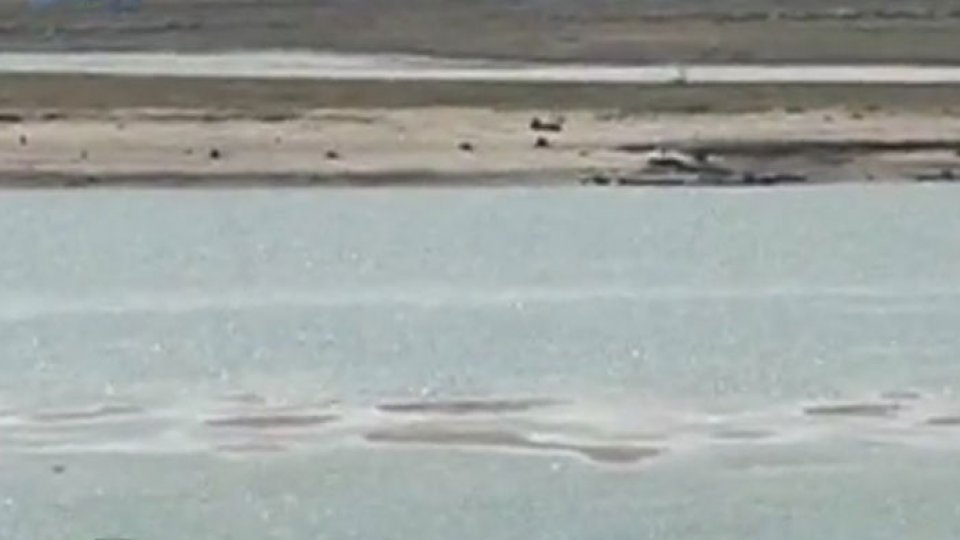 Nivelul Dunării, în scădere