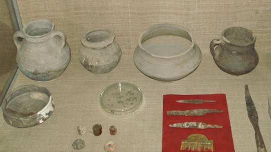 Descoperire arheologică în judeţul Vaslui