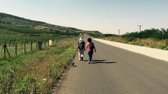 "Calea Aradului – pe drumuri de frontieră"