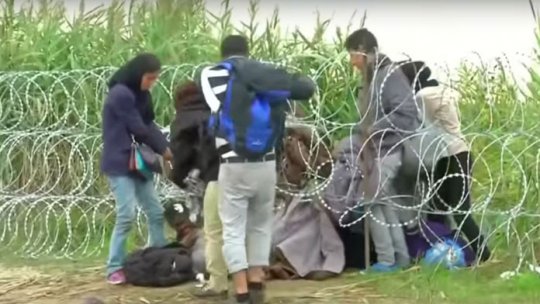 Imigranţi, prinși după ce au trecut gardul dintre Serbia și Ungaria