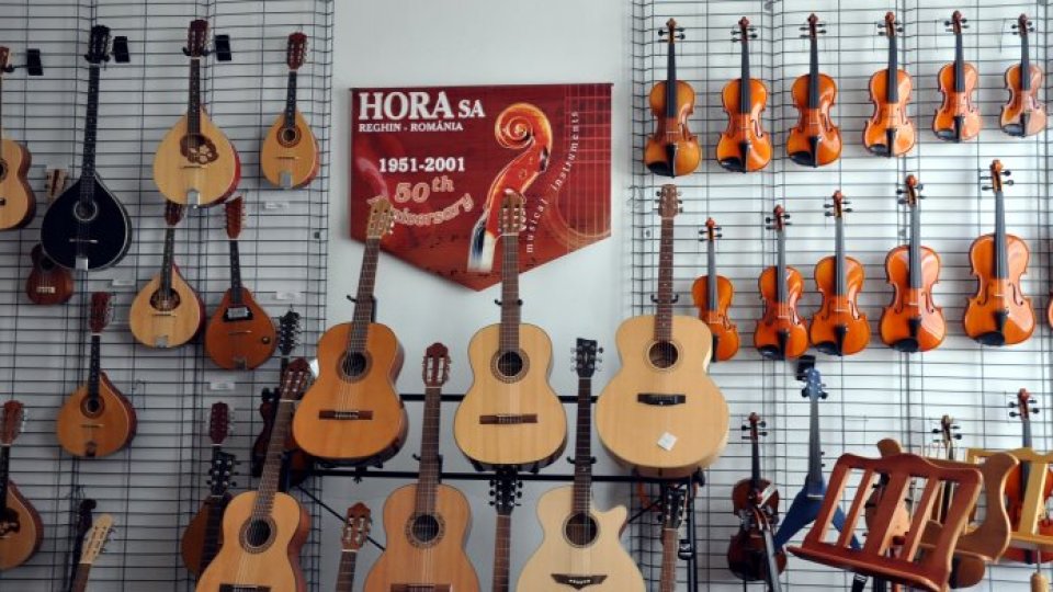 Cea mai mare fabrică de instrumente muzicale din lemn din Europa