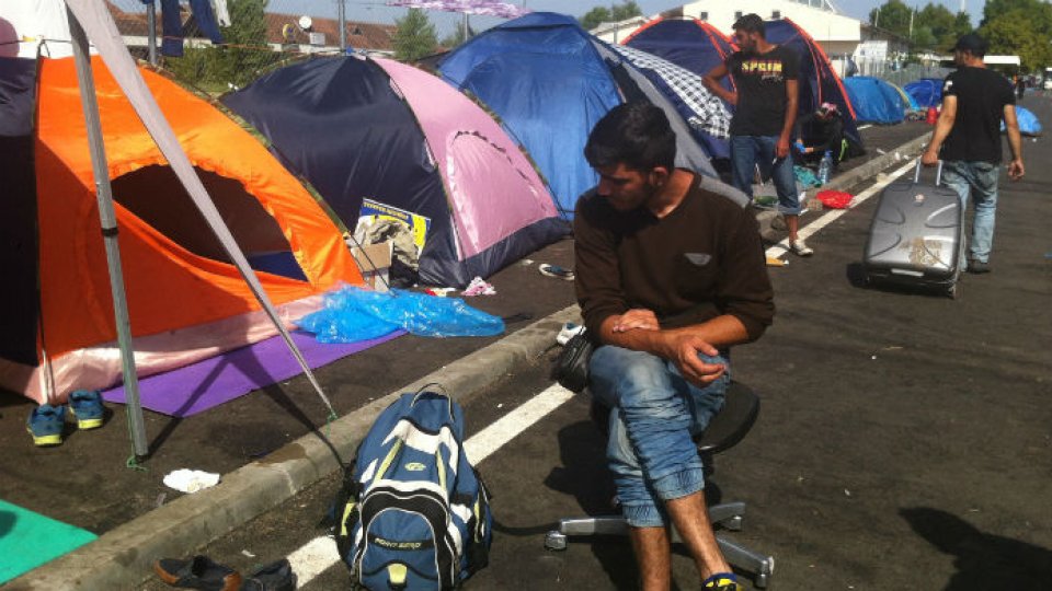 Migranții sirieni din Serbia caută noi rute pentru intrarea în Ungaria