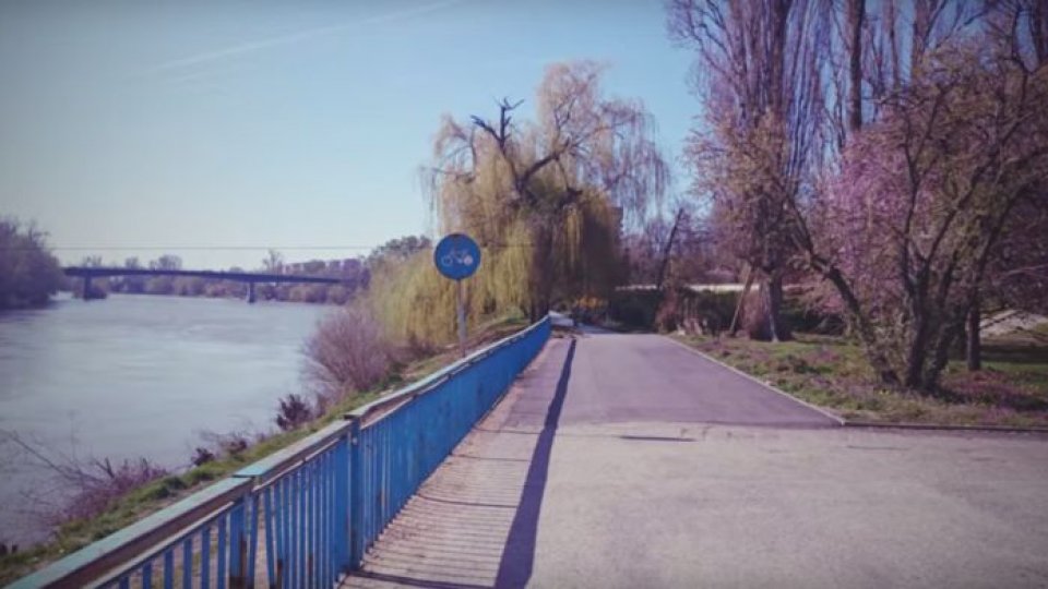 Pe bicicletă, în Arad