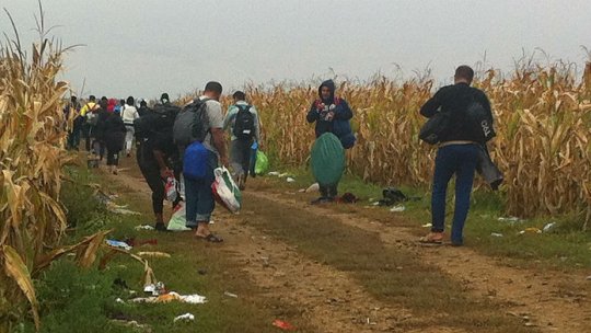 Sondaj: ”România nu ar trebui să primească refugiaţi”