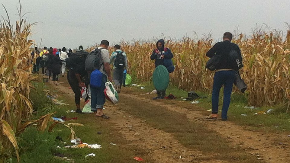 Sondaj: ”România nu ar trebui să primească refugiaţi”