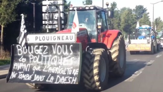 Crescătorii de vite din Franţa, susţinuţi de stat