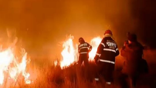 Incendiu în Delta Dunării